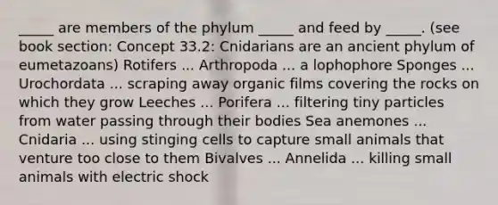 _____ are members of the phylum _____ and feed by _____. (see book section: Concept 33.2: Cnidarians are an ancient phylum of eumetazoans) Rotifers ... Arthropoda ... a lophophore Sponges ... Urochordata ... scraping away organic films covering the rocks on which they grow Leeches ... Porifera ... filtering tiny particles from water passing through their bodies Sea anemones ... Cnidaria ... using stinging cells to capture small animals that venture too close to them Bivalves ... Annelida ... killing small animals with electric shock