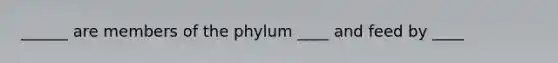 ______ are members of the phylum ____ and feed by ____