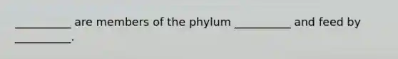 __________ are members of the phylum __________ and feed by __________.