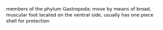 members of the phylum Gastropoda; move by means of broad, muscular foot located on the ventral side, usually has one piece shell for protection