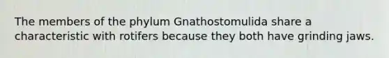 The members of the phylum Gnathostomulida share a characteristic with rotifers because they both have grinding jaws.