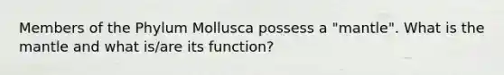 Members of the Phylum Mollusca possess a "mantle". What is the mantle and what is/are its function?