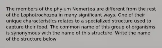 The members of the phylum Nemertea are different from the rest of the Lophotrochozoa in many significant ways. One of their unique characteristics relates to a specialized structure used to capture their food. The common name of this group of organisms is synonymous with the name of this structure. Write the name of the structure below