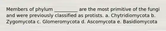 Members of phylum __________ are the most primitive of the fungi and were previously classified as protists. a. Chytridiomycota b. Zygomycota c. Glomeromycota d. Ascomycota e. Basidiomycota