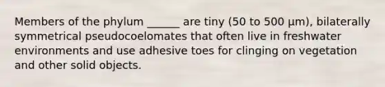 Members of the phylum ______ are tiny (50 to 500 μm), bilaterally symmetrical pseudocoelomates that often live in freshwater environments and use adhesive toes for clinging on vegetation and other solid objects.