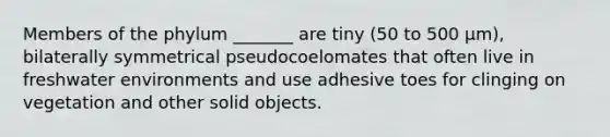 Members of the phylum _______ are tiny (50 to 500 μm), bilaterally symmetrical pseudocoelomates that often live in freshwater environments and use adhesive toes for clinging on vegetation and other solid objects.