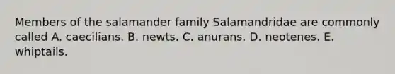 Members of the salamander family Salamandridae are commonly called A. caecilians. B. newts. C. anurans. D. neotenes. E. whiptails.