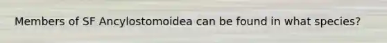 Members of SF Ancylostomoidea can be found in what species?