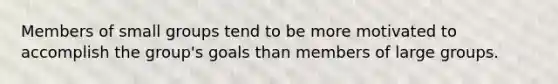 Members of small groups tend to be more motivated to accomplish the group's goals than members of large groups.