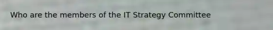 Who are the members of the IT Strategy Committee