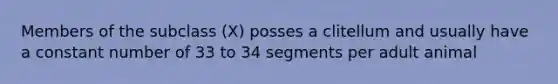 Members of the subclass (X) posses a clitellum and usually have a constant number of 33 to 34 segments per adult animal