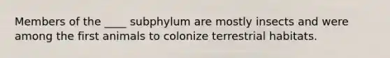 Members of the ____ subphylum are mostly insects and were among the first animals to colonize terrestrial habitats.