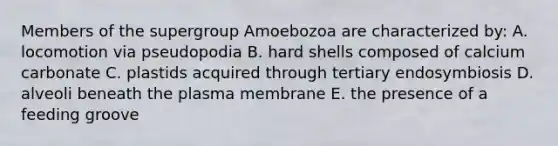 Members of the supergroup Amoebozoa are characterized by: A. locomotion via pseudopodia B. hard shells composed of calcium carbonate C. plastids acquired through tertiary endosymbiosis D. alveoli beneath the plasma membrane E. the presence of a feeding groove