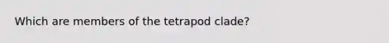 Which are members of the tetrapod clade?