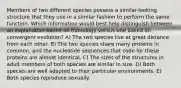 Members of two different species possess a similar-looking structure that they use in a similar fashion to perform the same function. Which information would best help distinguish between an explanation based on homology versus one based on convergent evolution? A) The two species live at great distance from each other. B) The two species share many proteins in common, and the nucleotide sequences that code for these proteins are almost identical. C) The sizes of the structures in adult members of both species are similar in size. D) Both species are well adapted to their particular environments. E) Both species reproduce sexually.