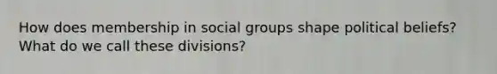 How does membership in social groups shape political beliefs? What do we call these divisions?