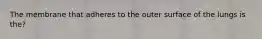 The membrane that adheres to the outer surface of the lungs is the?