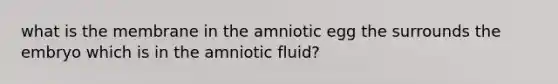 what is the membrane in the amniotic egg the surrounds the embryo which is in the amniotic fluid?