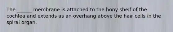 The ______ membrane is attached to the bony shelf of the cochlea and extends as an overhang above the hair cells in the spiral organ.