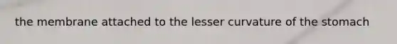 the membrane attached to the lesser curvature of the stomach