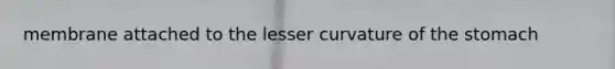 membrane attached to the lesser curvature of <a href='https://www.questionai.com/knowledge/kLccSGjkt8-the-stomach' class='anchor-knowledge'>the stomach</a>