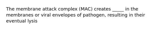 The membrane attack complex (MAC) creates _____ in the membranes or viral envelopes of pathogen, resulting in their eventual lysis