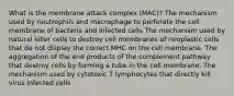 What is the membrane attack complex (MAC)? The mechanism used by neutrophils and macrophage to perforate the cell membrane of bacteria and infected cells The mechanism used by natural killer cells to destroy cell membranes of neoplastic cells that do not display the correct MHC on the cell membrane. The aggregation of the end products of the complement pathway that destroy cells by forming a tube in the cell membrane. The mechanism used by cytotoxic T lymphocytes that directly kill virus infected cells