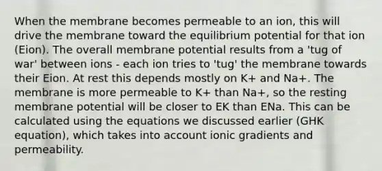 When the membrane becomes permeable to an ion, this will drive the membrane toward the equilibrium potential for that ion (Eion). The overall membrane potential results from a 'tug of war' between ions - each ion tries to 'tug' the membrane towards their Eion. At rest this depends mostly on K+ and Na+. The membrane is more permeable to K+ than Na+, so the resting membrane potential will be closer to EK than ENa. This can be calculated using the equations we discussed earlier (GHK equation), which takes into account ionic gradients and permeability.