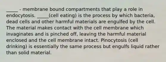 _____ - membrane bound compartments that play a role in endocytosis. _____(cell eating) is the process by which bacteria, dead cells and other harmful materials are engulfed by the cell. The material makes contact with the cell membrane which invaginates and is pinched off, leaving the harmful material enclosed and the cell membrane intact. Pinocytosis (cell drinking) is essentially the same process but engulfs liquid rather than solid material.