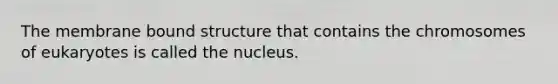 The membrane bound structure that contains the chromosomes of eukaryotes is called the nucleus.