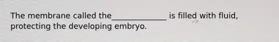 The membrane called the______________ is filled with fluid, protecting the developing embryo.
