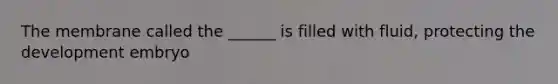 The membrane called the ______ is filled with fluid, protecting the development embryo