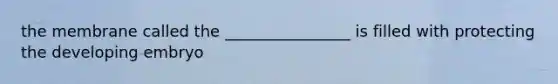the membrane called the ________________ is filled with protecting the developing embryo