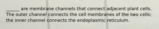 ______ are membrane channels that connect adjacent plant cells. The outer channel connects the cell membranes of the two cells; the inner channel connects the endoplasmic reticulum.