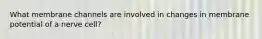 What membrane channels are involved in changes in membrane potential of a nerve cell?