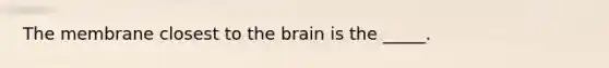 The membrane closest to the brain is the _____.