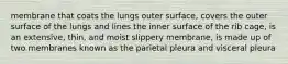 membrane that coats the lungs outer surface, covers the outer surface of the lungs and lines the inner surface of the rib cage, is an extensive, thin, and moist slippery membrane, is made up of two membranes known as the parietal pleura and visceral pleura