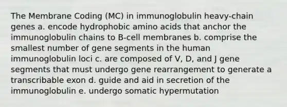 The Membrane Coding (MC) in immunoglobulin heavy-chain genes a. encode hydrophobic amino acids that anchor the immunoglobulin chains to B-cell membranes b. comprise the smallest number of gene segments in the human immunoglobulin loci c. are composed of V, D, and J gene segments that must undergo gene rearrangement to generate a transcribable exon d. guide and aid in secretion of the immunoglobulin e. undergo somatic hypermutation