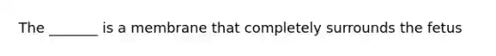 The _______ is a membrane that completely surrounds the fetus