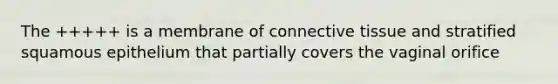 The +++++ is a membrane of connective tissue and stratified squamous epithelium that partially covers the vaginal orifice
