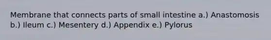 Membrane that connects parts of small intestine a.) Anastomosis b.) Ileum c.) Mesentery d.) Appendix e.) Pylorus