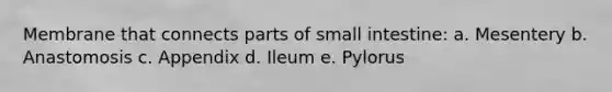 Membrane that connects parts of small intestine: a. Mesentery b. Anastomosis c. Appendix d. Ileum e. Pylorus