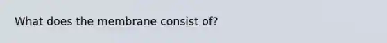 What does the membrane consist of?