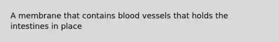 A membrane that contains blood vessels that holds the intestines in place