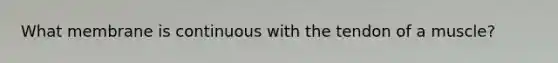 What membrane is continuous with the tendon of a muscle?