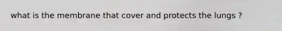 what is the membrane that cover and protects the lungs ?