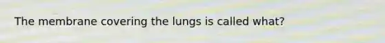 The membrane covering the lungs is called what?