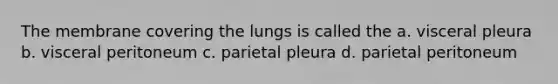 The membrane covering the lungs is called the a. visceral pleura b. visceral peritoneum c. parietal pleura d. parietal peritoneum