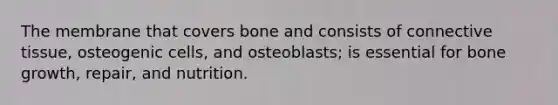 The membrane that covers bone and consists of connective tissue, osteogenic cells, and osteoblasts; is essential for bone growth, repair, and nutrition.