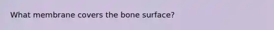 What membrane covers the bone surface?